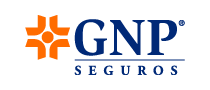 GNP