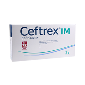 Ceftrex iv 500mg - inyección c/1 | Farmacia San Pablo Ceftrex iv 500mg - inyección c/1 | Farmacia San Pablo